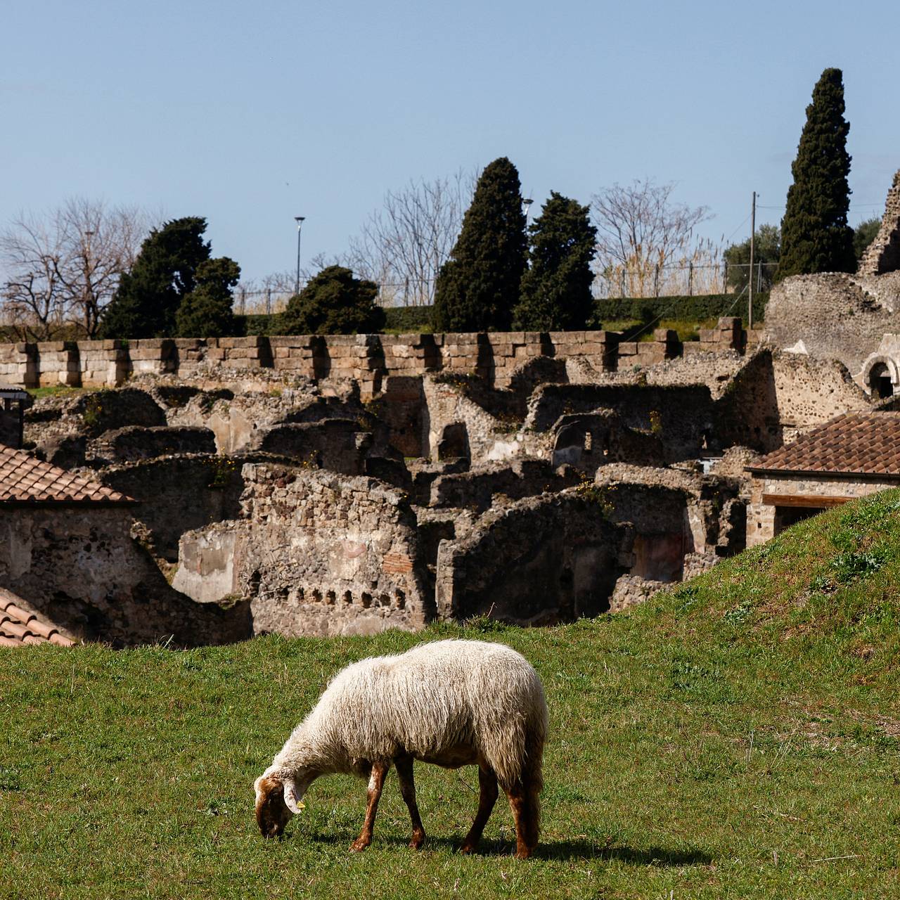 Люди вернулись в Помпеи после извержения вулкана