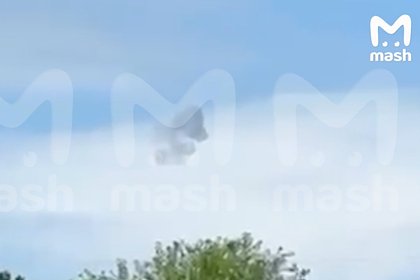 Появилось видео уничтожения тяжелого дрона-камикадзе «Лютый» над российским курортом