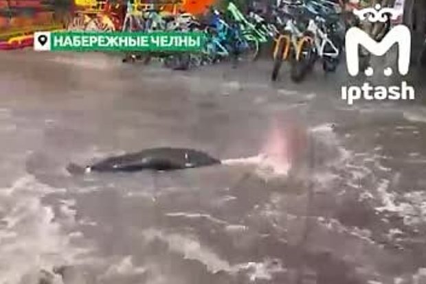 Вводная картинка