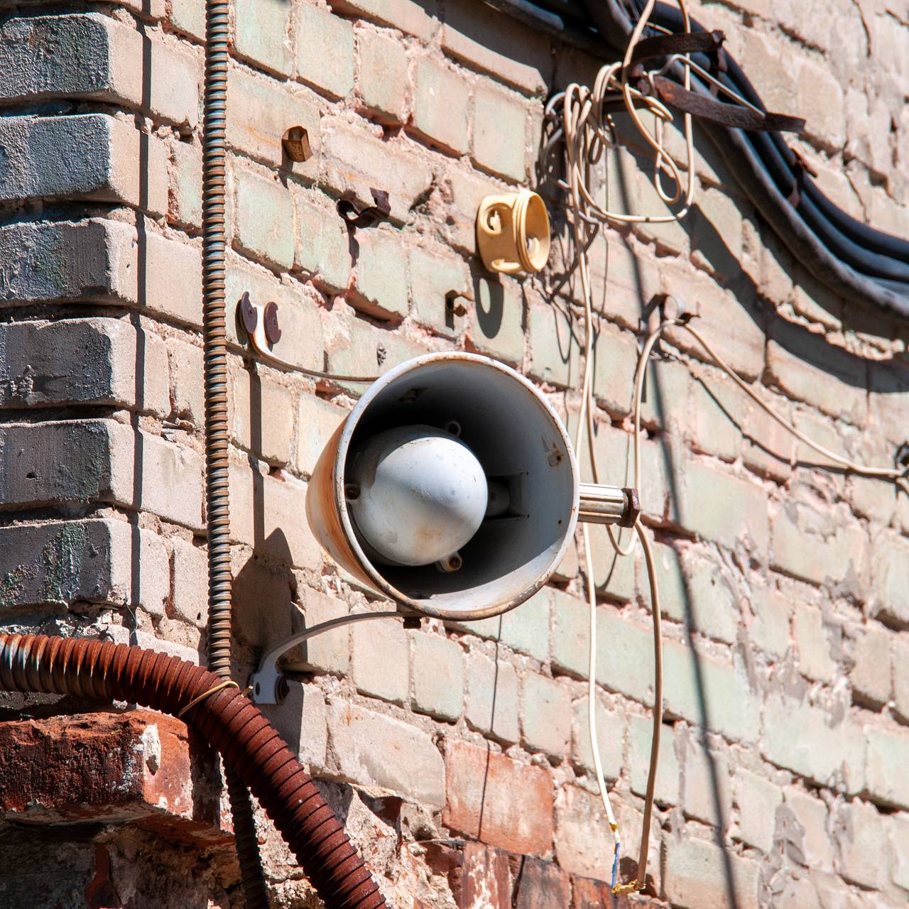 Фото: Svetlana Vozmilova / Global Look Press