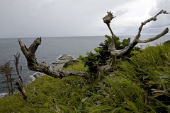 Остров Кунашир