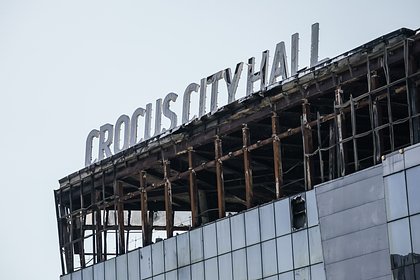 Напавших на «Крокус» поймали благодаря просмотру записи с камеры во время пожара