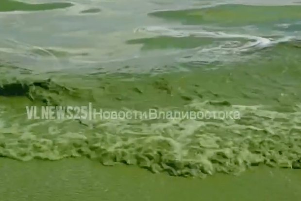 Вводная картинка