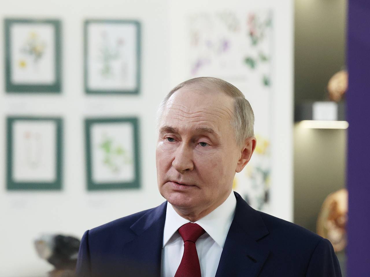 На Западе увидели триумф Путина в его предстоящей встрече с Трампом0