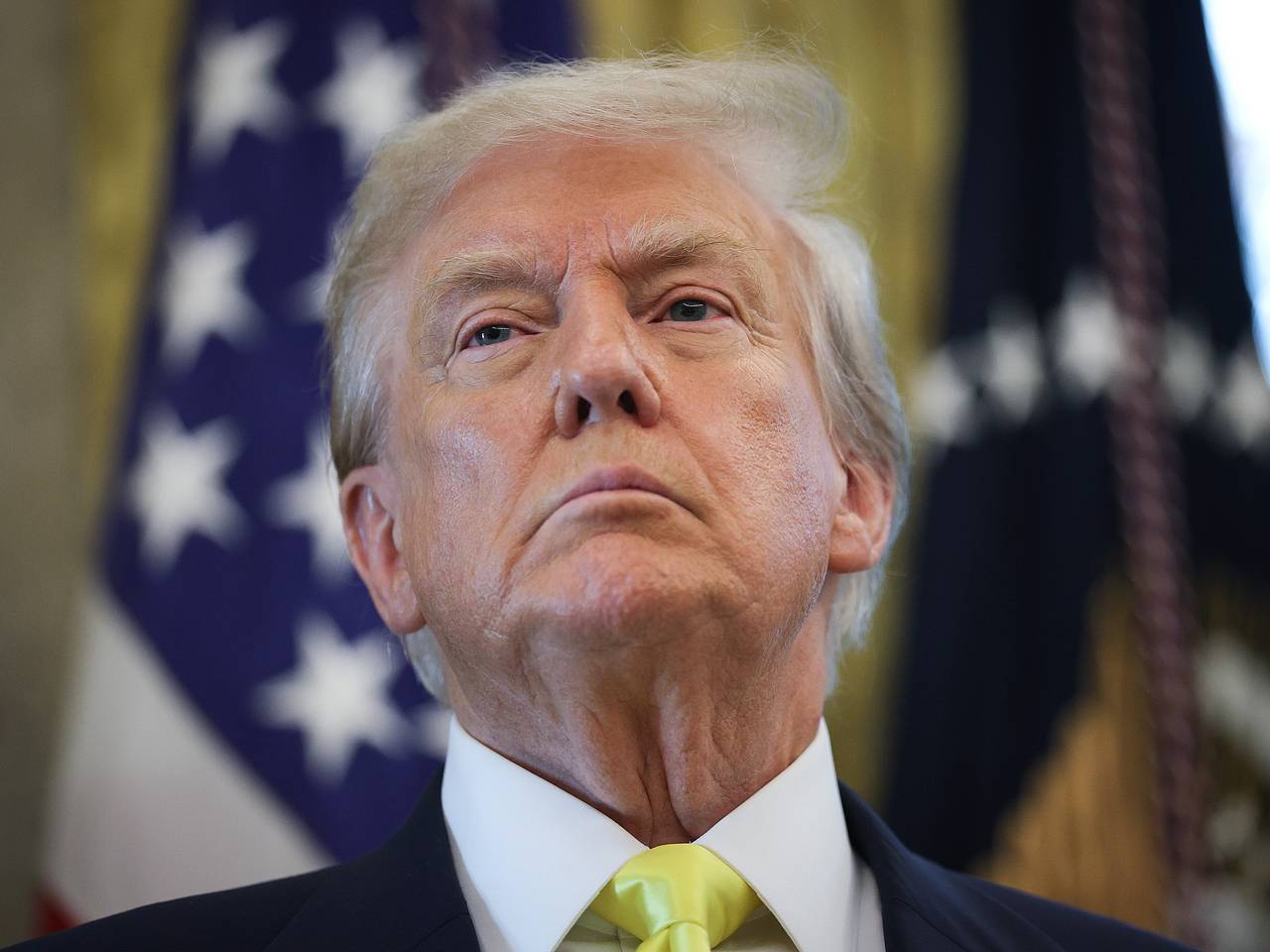 Трамп рассказал о своем интеллектуальном превосходстве над бандой идиотов0