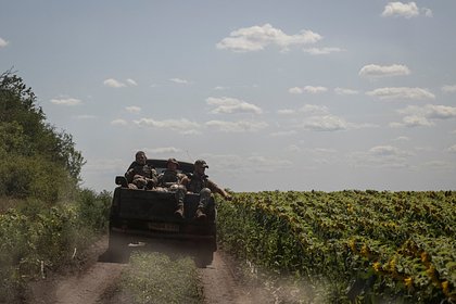 Раскрыто последствие сдачи Киевом подконтрольной части Донбасса