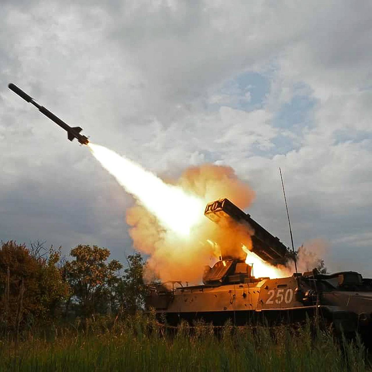 Фото: MOD Russia / Globallookpress