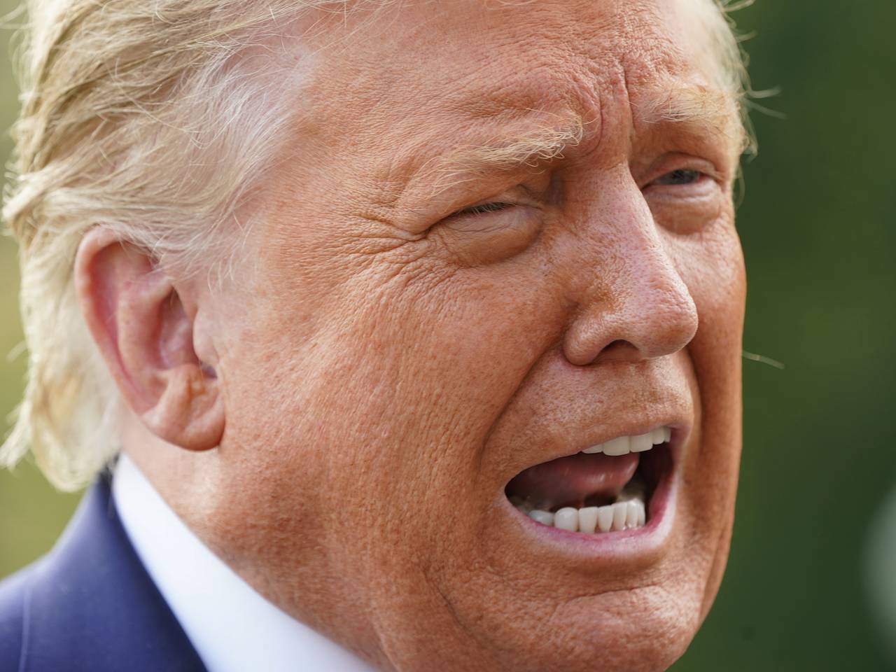 Раскрыта позиция Трампа и европейских лидеров перед саммитом на Аляске0