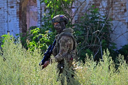 Стало известно о создании огневого балкона под Красноармейском