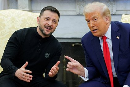 В Раде заявили о целях европейских лидеров на встрече Трампа и Зеленского