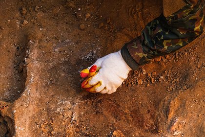 В польском лесу нашли золотое ожерелье готов