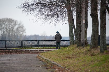 Правдивость утверждения о возможности запастись витаминами на всю зиму оценили