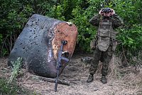 Киев заявил о начале производства новой крылатой ракеты с дальностью 3000 километров На что способна «Фламинго»?