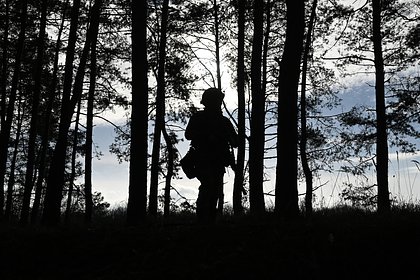 В России призвали протянуть безопасную зону на СВО до Днепра