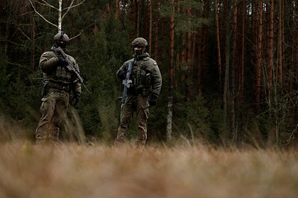 В Польше раскритиковали идею отправки войск на Украину