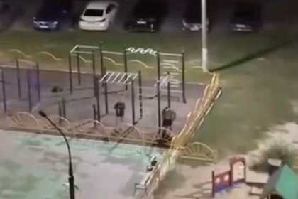 Треш-блогер отметил день рождения и жестоко избил девушку под Москвой