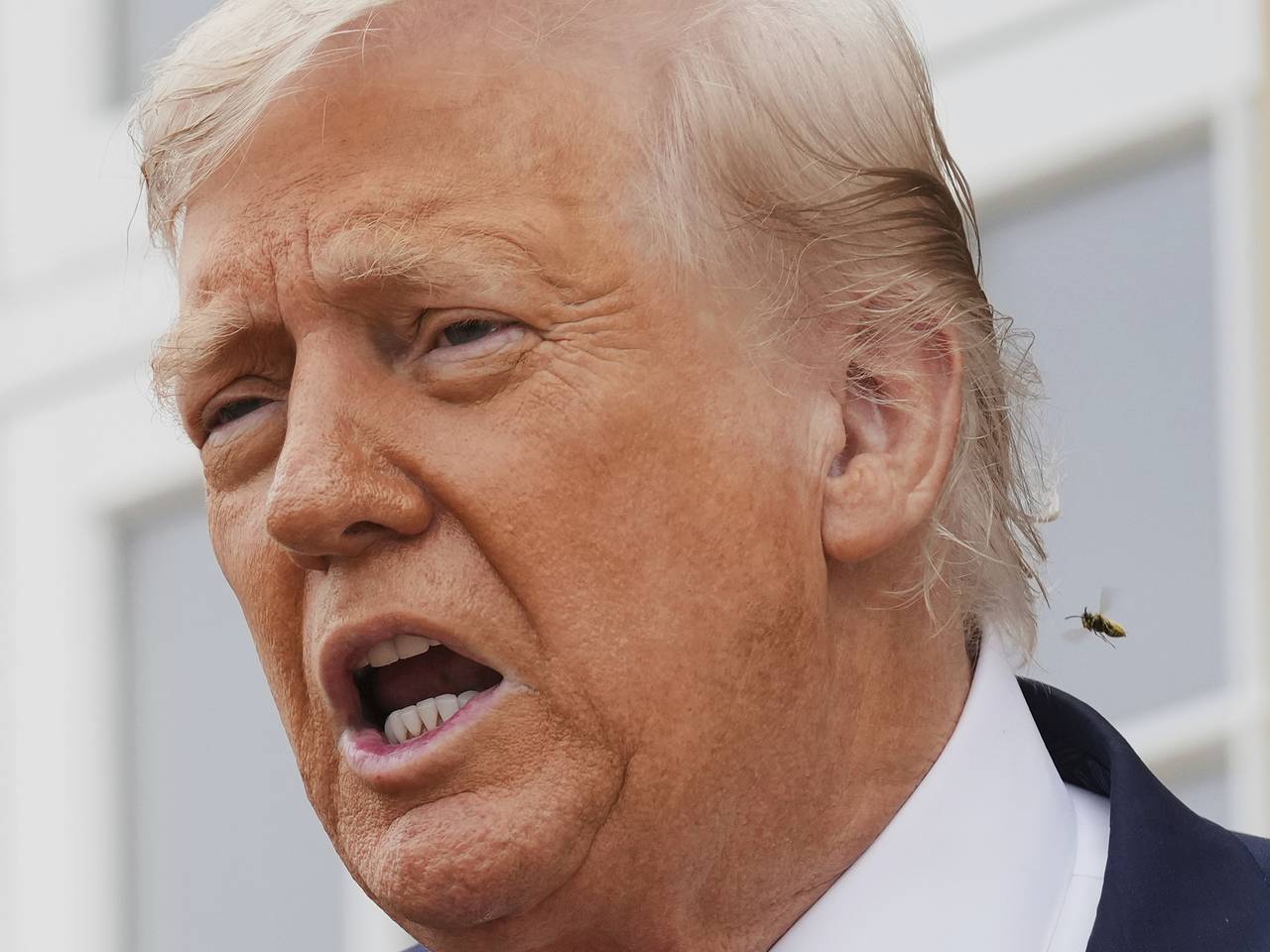 Интервью Трампа0