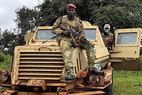 «Они действовали по беспределу» Как ЧВК «Вагнер» помогла разоружить боевиков в ЦАР и положить конец кровавой гражданской войне