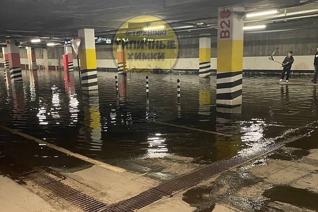 Вводная картинка