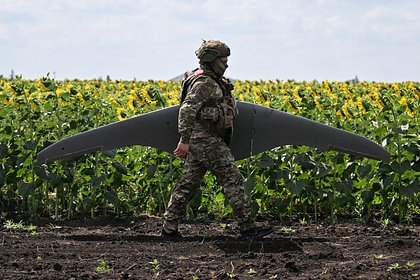 В зону СВО поставили более 20 тысяч российских «Черник»
