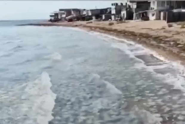 Вводная картинка