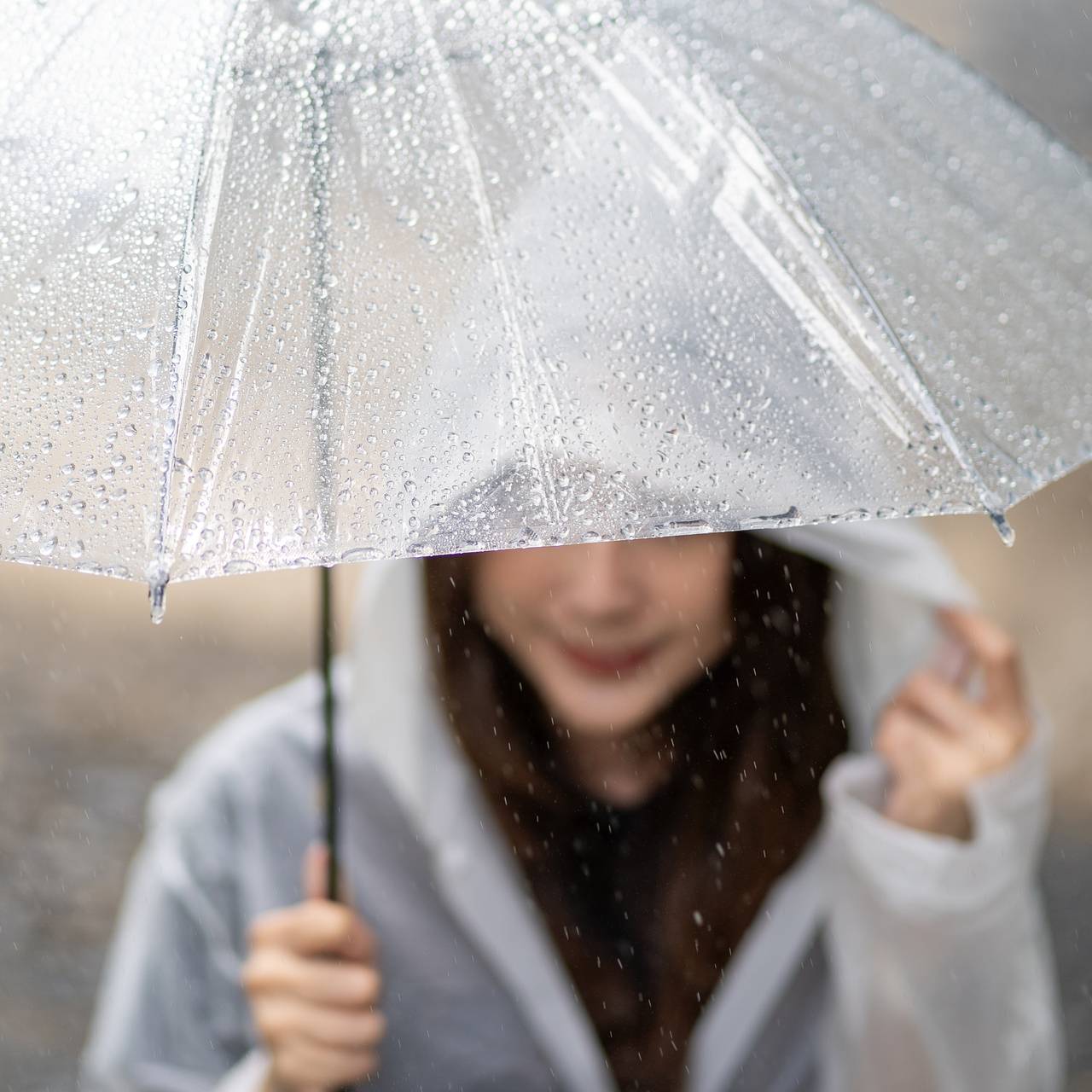 Попытка спастись от проливного дождя принесла женщине 11 миллионов рублей