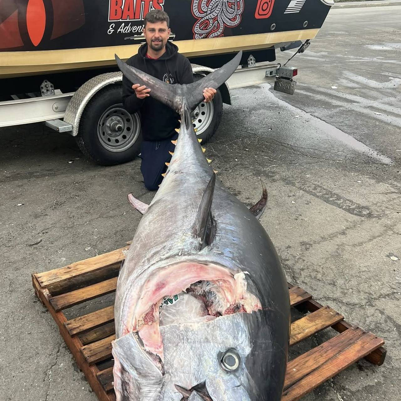 Рыбак поймал огромного тунца весом 360 килограммов