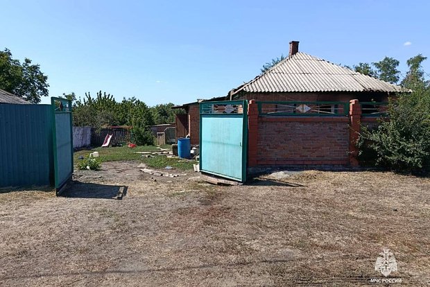 Вводная картинка