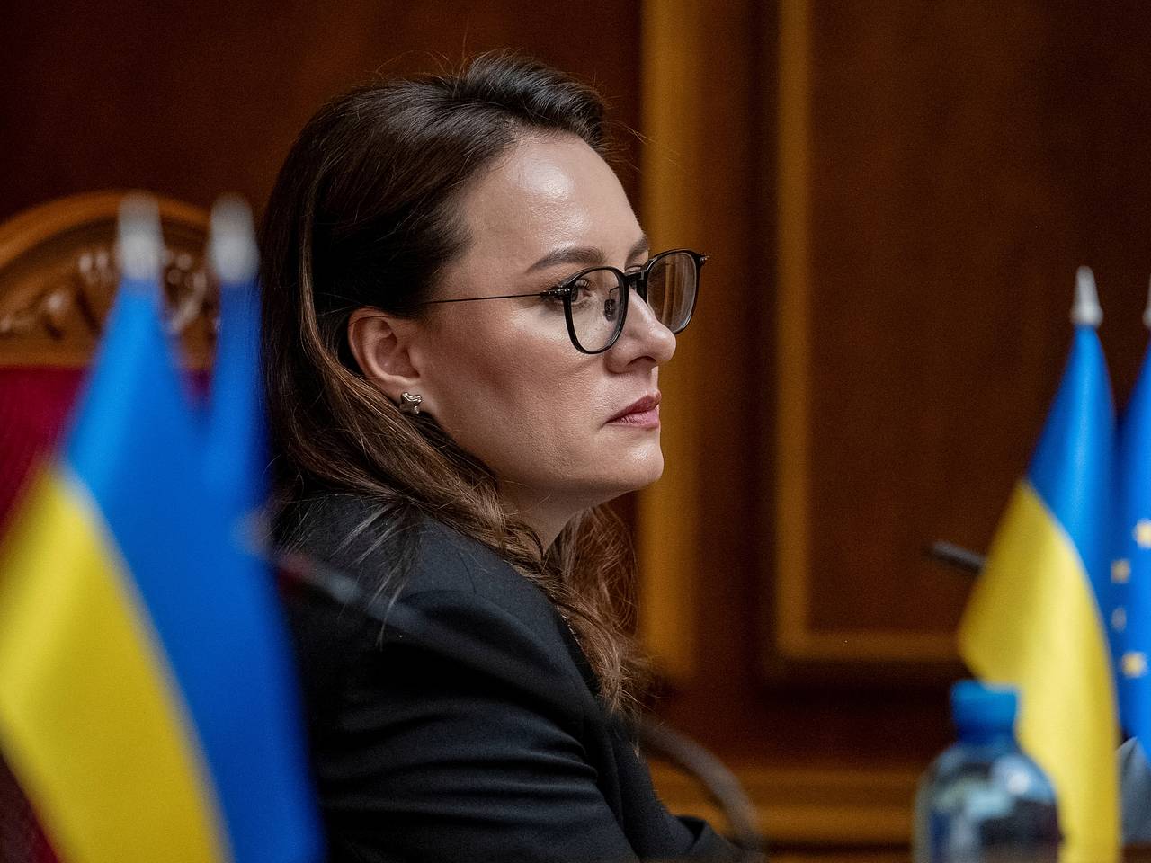 Украинский премьер предложила отправлять в тюрьмы бегущих из страны0