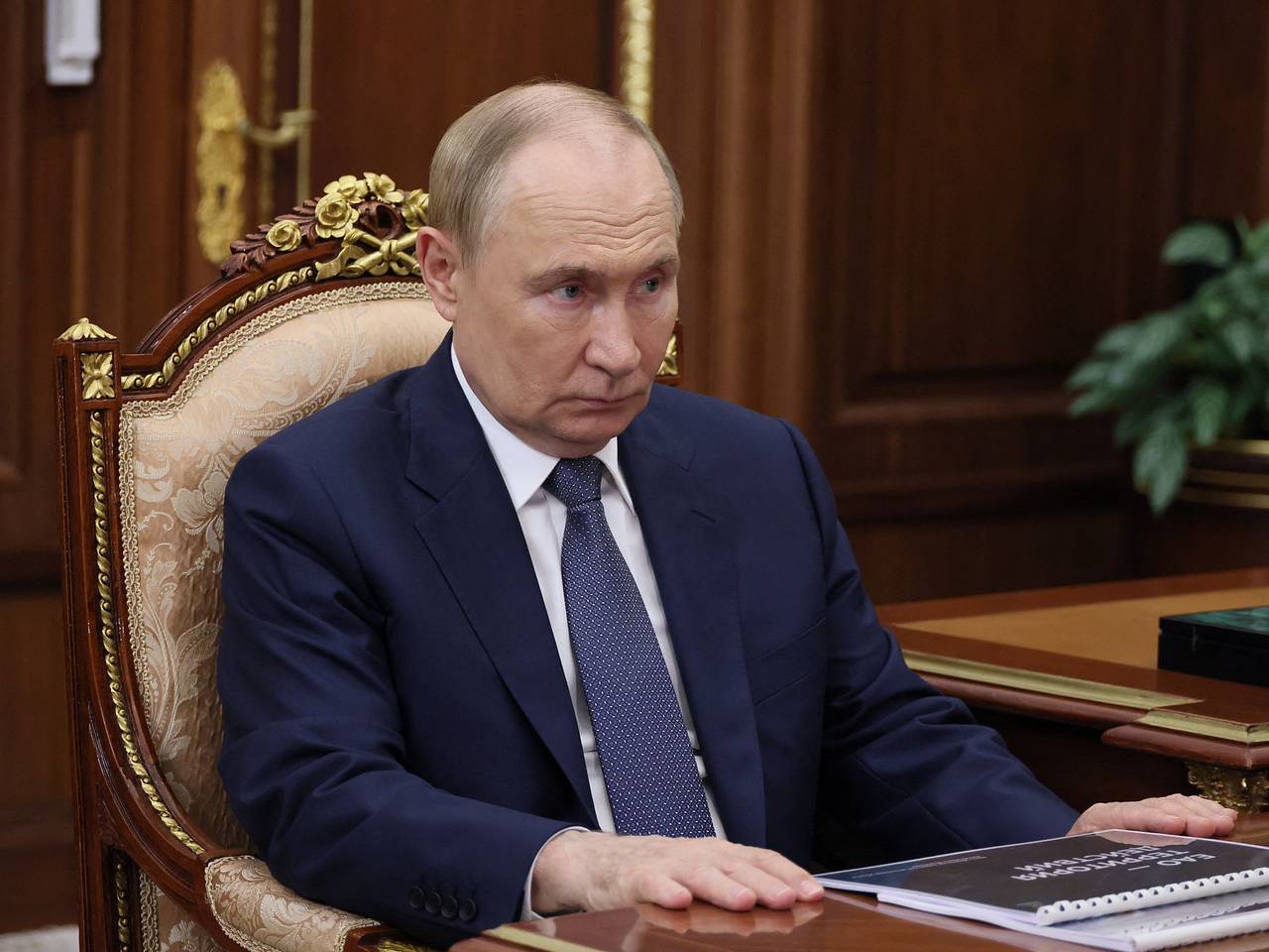 Названо одно из условий встречи Путина и Зеленского0