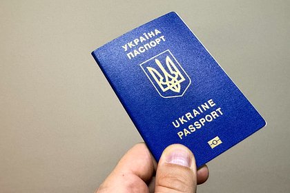 Киев пытался скрыть задержанного по делу о подрыве «Северных потоков» украинца