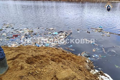 Экологии Подмосковья нанесли ущерб на десятки миллионов рублей
