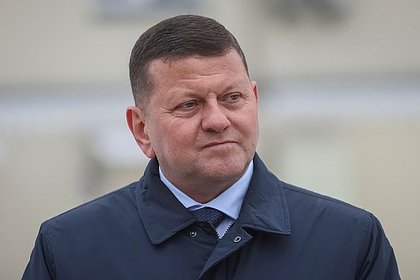 В Раде заявили об отсутствии разницы между Зеленским и Залужным
