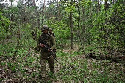 Местные жители помогли в уничтожении батальонов ВСУ под Краматорском