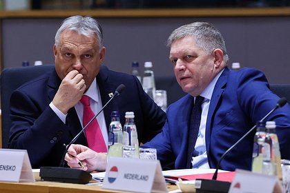 В ЕС захотели надавить на две страны ради санкций против России