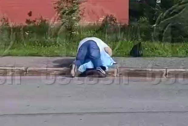 Вводная картинка