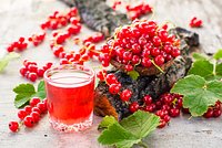 Как приготовить компот из смородины на зиму: 4 лучших классических рецепта