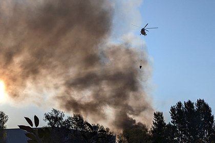 Военный назвал цели ВС России при ударах по Киеву