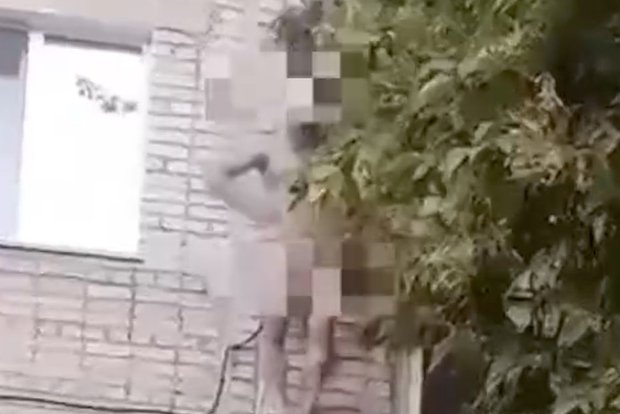 Вводная картинка