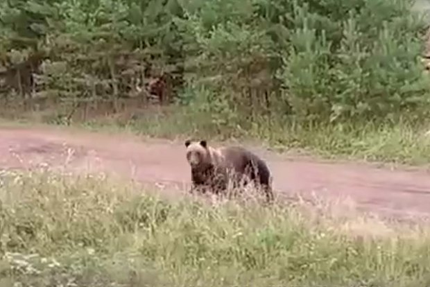Вводная картинка
