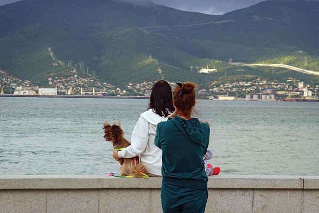 Вводная картинка