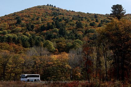 В России водитель автобуса высадил купившего билет ребенка у леса ночью