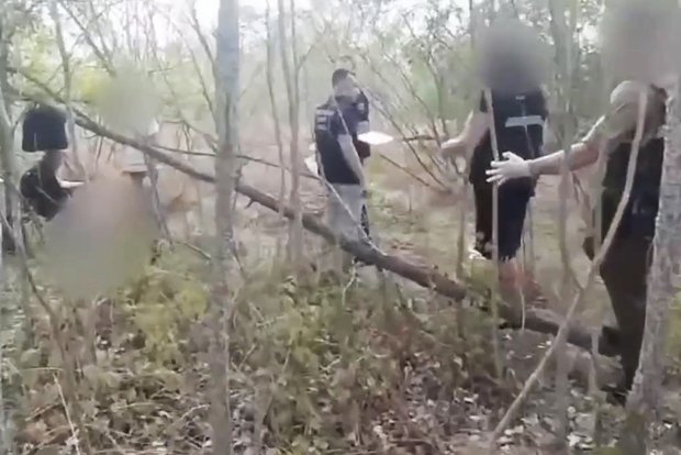 Вводная картинка