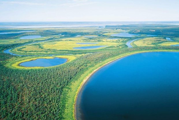 Вводная картинка