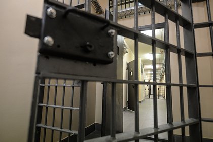 Накормившую свекровь поганками женщину приговорили к 33 годам тюрьмы