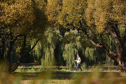 Москвичам назвали время прихода бабьего лета