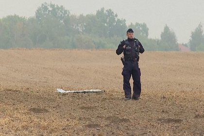 Генсек НАТО прокомментировал инцидент с дронами в Польше