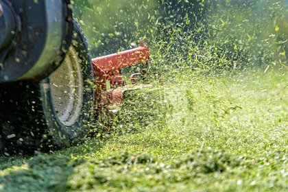 Уснувший в высокой траве турист оказался под газонокосилкой и не выжил
