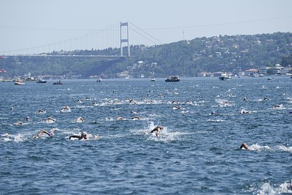Жена пропавшего во время заплыва в Босфоре россиянина нашла виновных