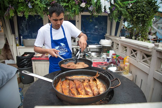 Вводная картинка